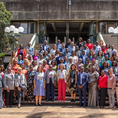 African Women Need More Than Commitments on the Belém Action Plan